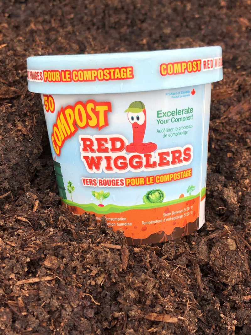 Compost Red Wiggler Live Composting Worms, 50 Count Y5448
