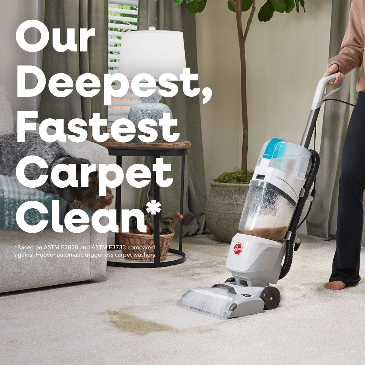 AllOut Lux Pet Carpet Cleaner with Above Floor Cleaning, StainShot Technology, Debris Catch, Edge to Edge Cleaning & Faster Drying