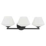 Celestial Valley 3 Light Vanity Light