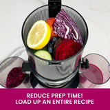 Time Saving High-Torque Cold Press Batch Juicer