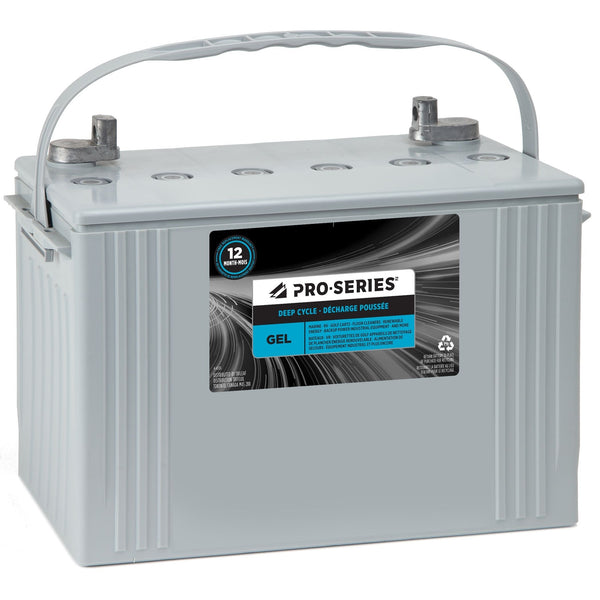 Commercial Group Size 4 6-Volt Battery D2162