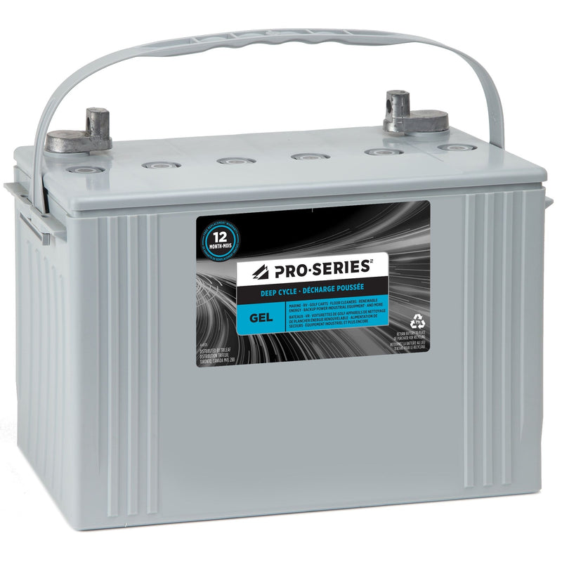 Commercial Group Size 4 6-Volt Battery D2162
