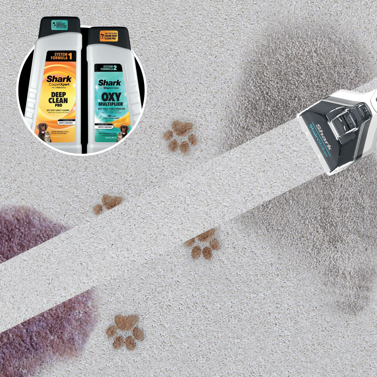 StainStriker Corded Portable Carpet & Upholstery Cleaner
