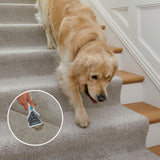 StainStriker Corded Portable Carpet & Upholstery Cleaner