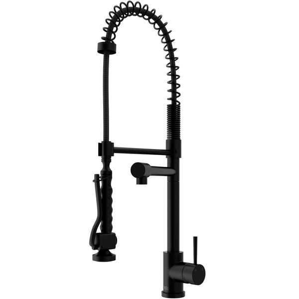 Zurich Kitchen Faucet, Matte Black C4170