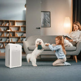 Winix C545 Air Purifier with True HEPA Filter Set